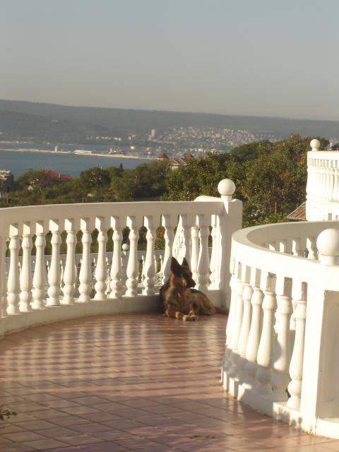 Hotel Family Casablanca Varna